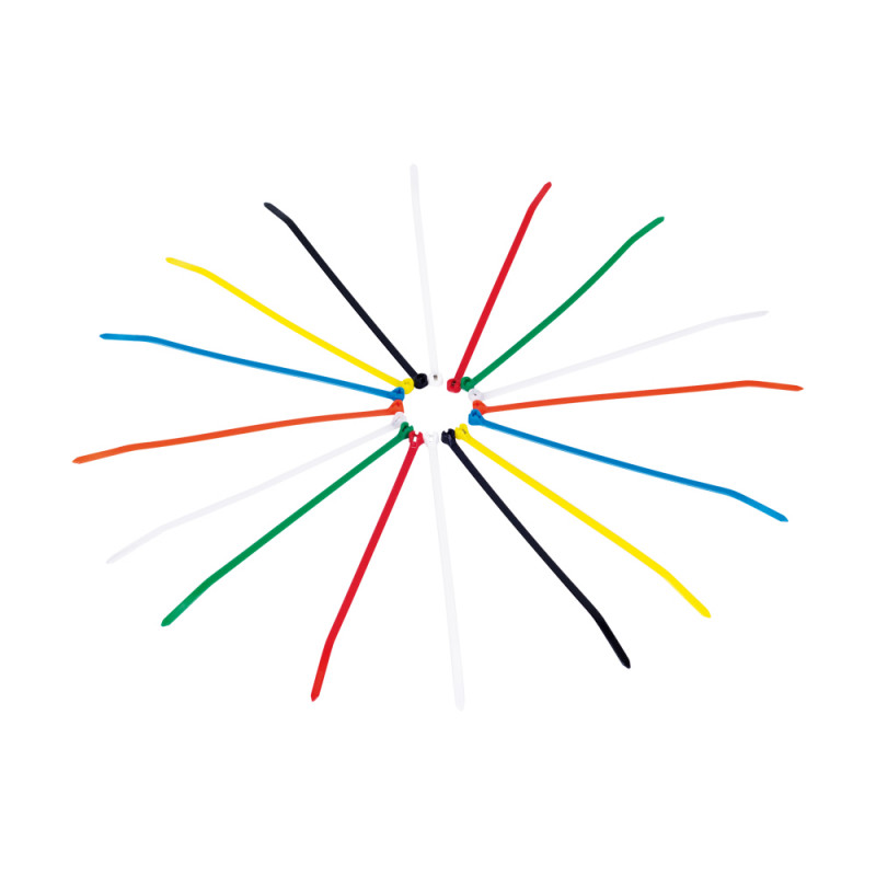 Colliers de fixation (sachet de 100 pièces)