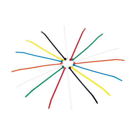 Colliers de fixation (sachet de 100 pièces)