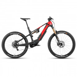 VTTAE complet ROTWILD - R.X1000 - 2023