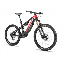 VTTAE complet ROTWILD - R.X1000 - 2023