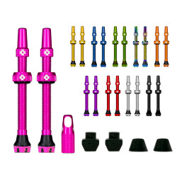 Kit de valves tubeless V2 (paire)
