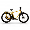 copy of 2022 Kit de montage+fourche Spire Carbon (vendu sans cadre)