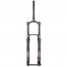 copy of Formula Selva S Boost 27,5