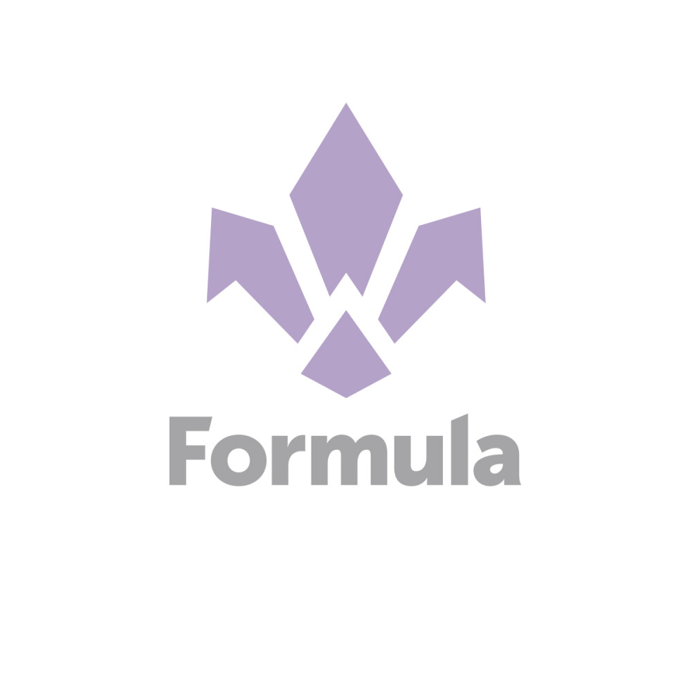 Amortisseur FORMULA - Accessoire MOD et NEBBIA