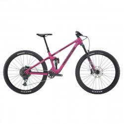 2022 Kit de montage+fourche Smuggler Carbon (vendu sans cadre)