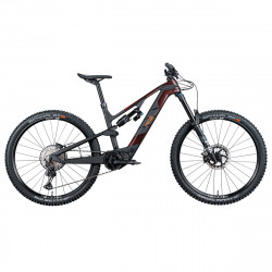VTTAE complet ROTWILD - R.G375 FS - 2023