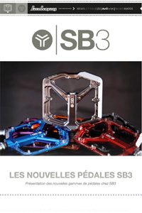 SB3 PEDALES